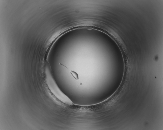 X0000116580842200912101538