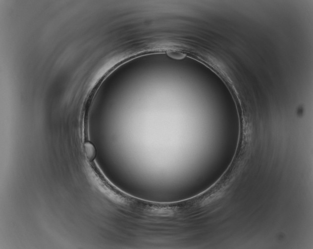 X0000116580843200912101539