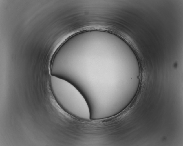 X0000116580844200912101539