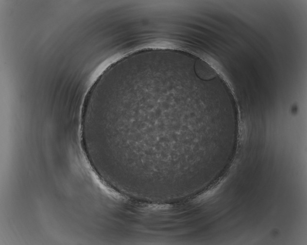 X0000116580845200912101539