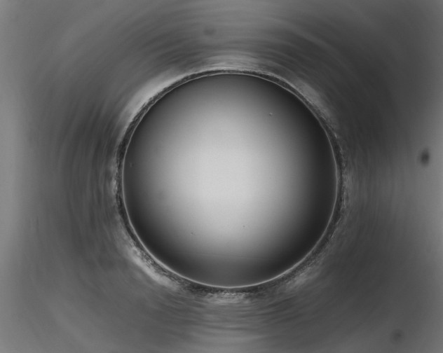 X0000116580846200912101539