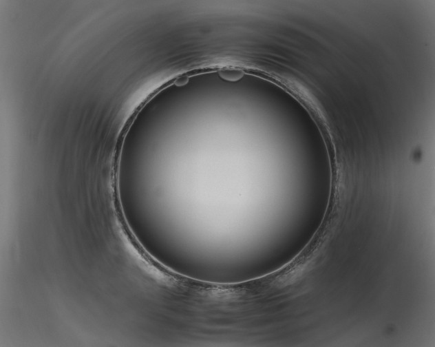 X0000116580847200912101539