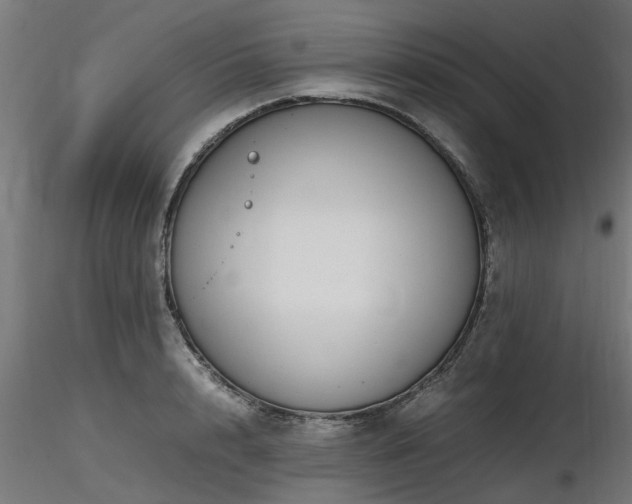 X0000116580848200912101539