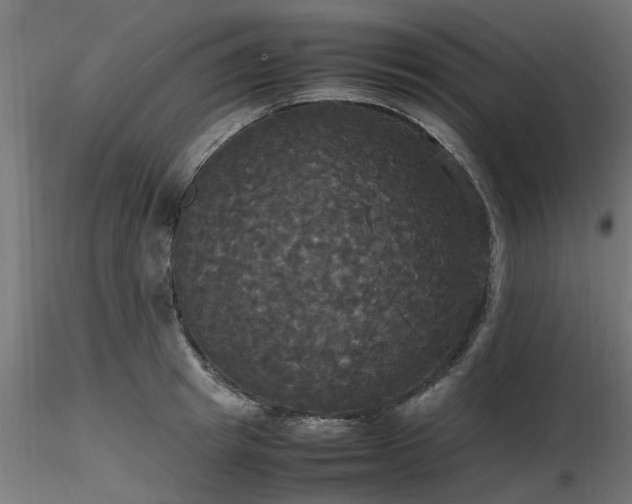 X0000116580849200912101539