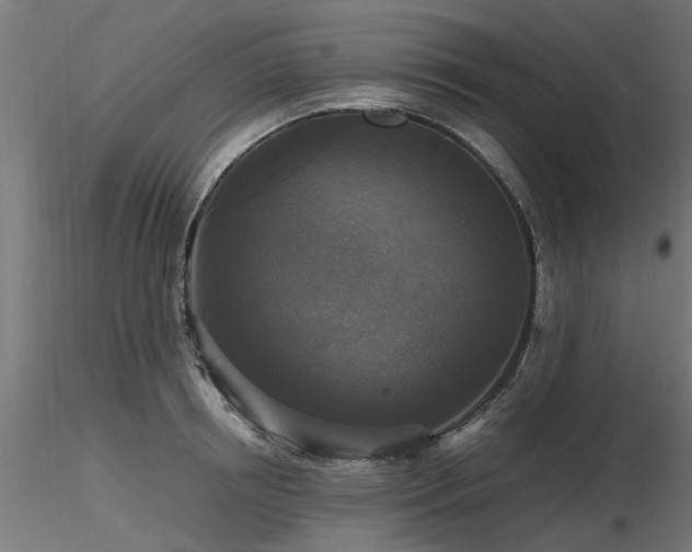 X0000116580850200912101539