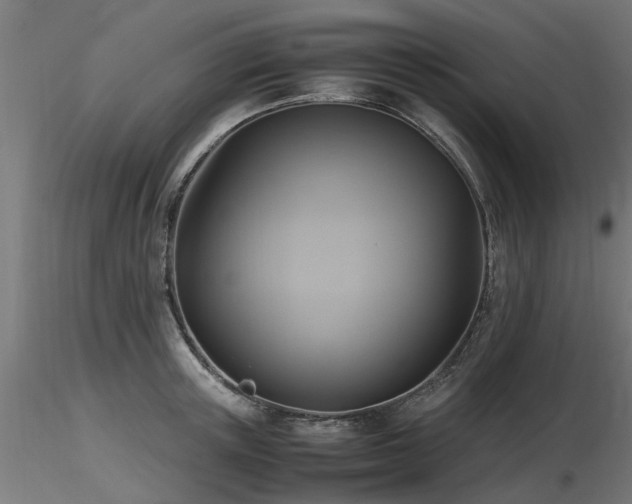 X0000116580851200912101539