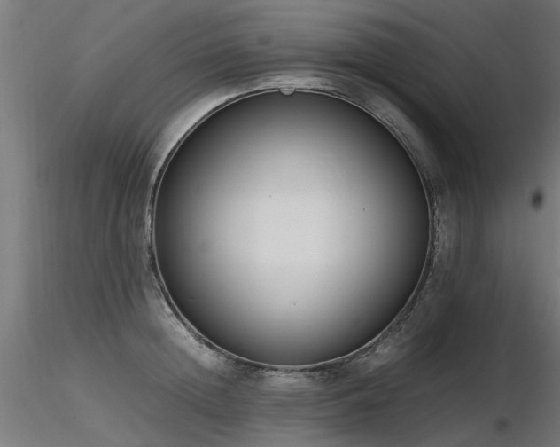 X0000116580852200912101539