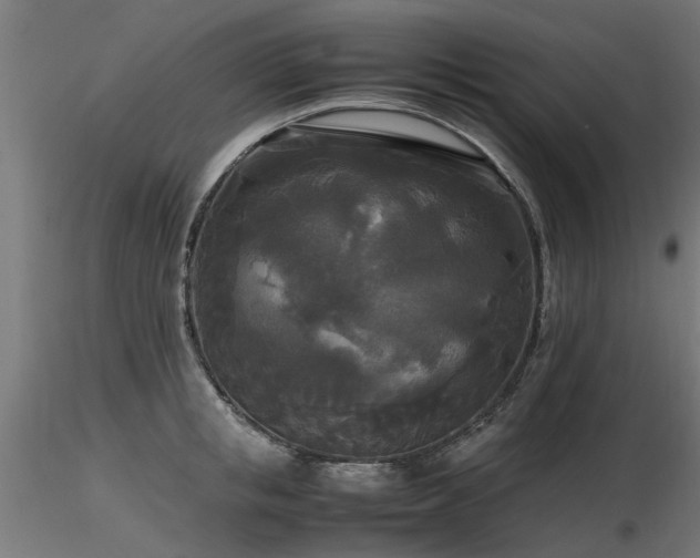 X0000116580853200912101539