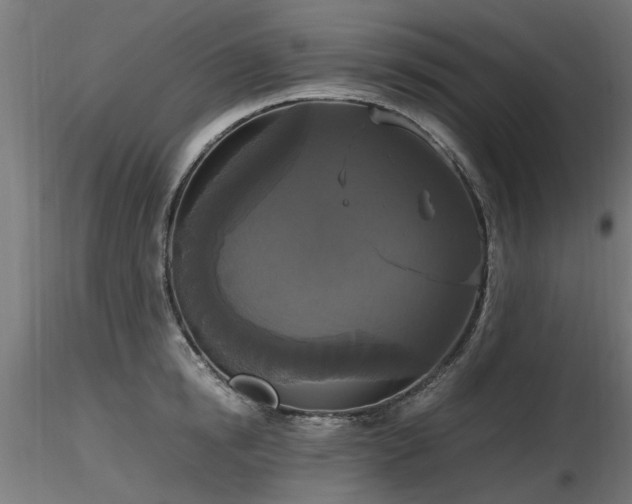 X0000116580854200912101539