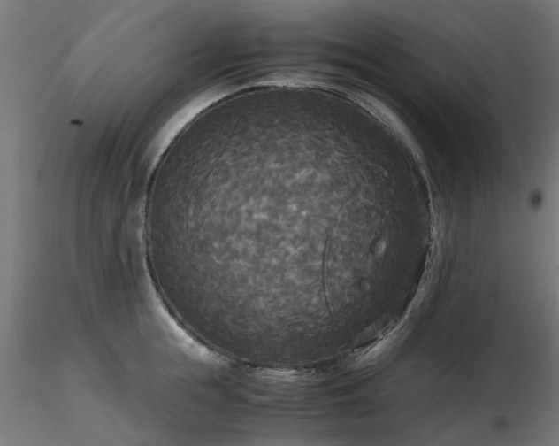 X0000116580855200912101539