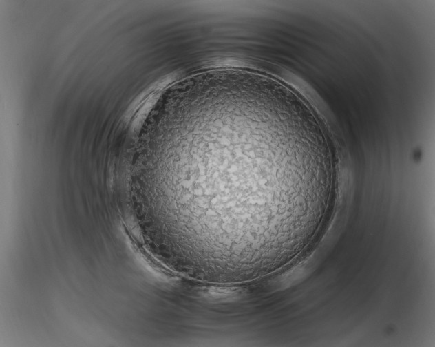 X0000116580857200912101539