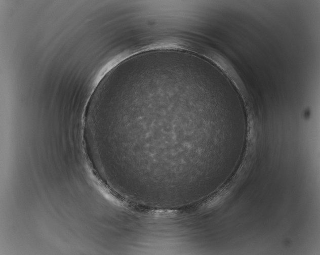 X0000116580858200912101539