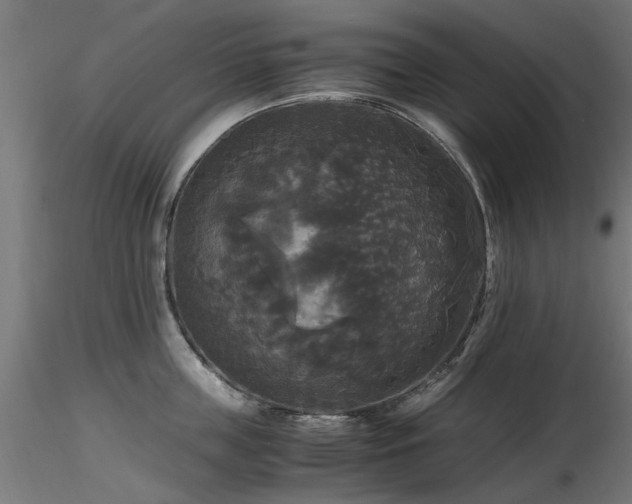 X0000116580859200912101539