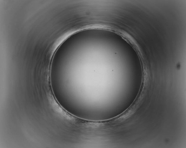 X0000116580860200912101539