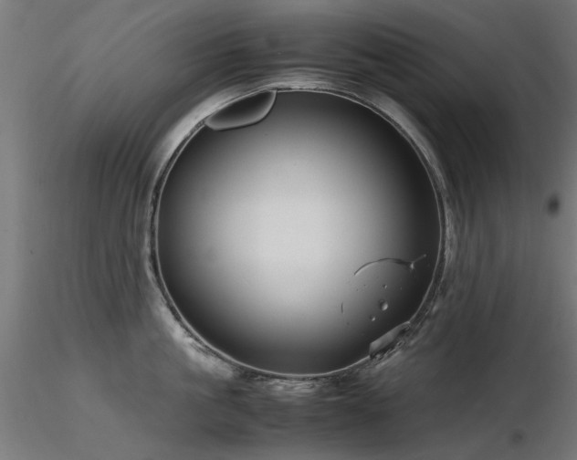 X0000116580861200912101539