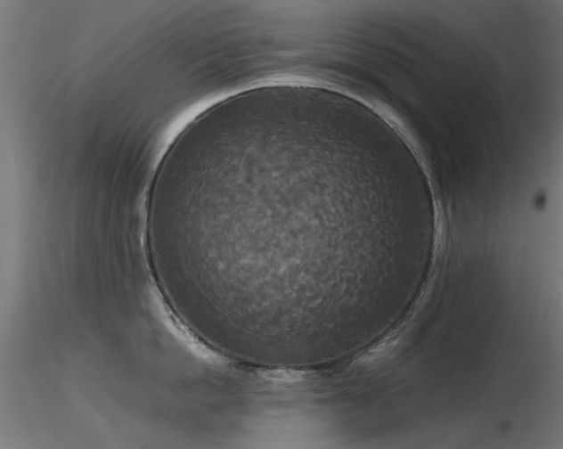 X0000116580862200912101539