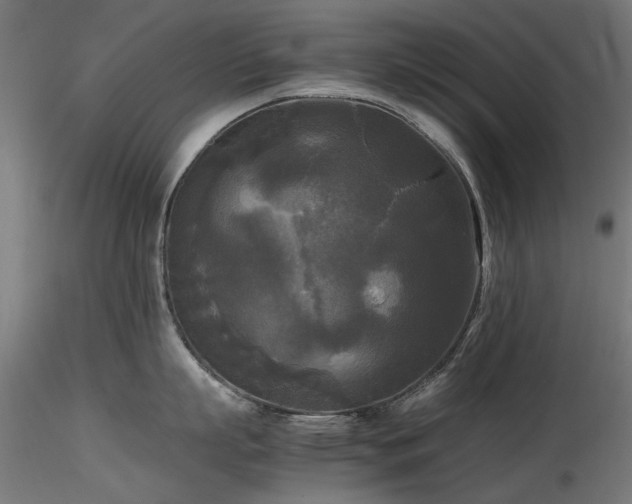 X0000116580863200912101539