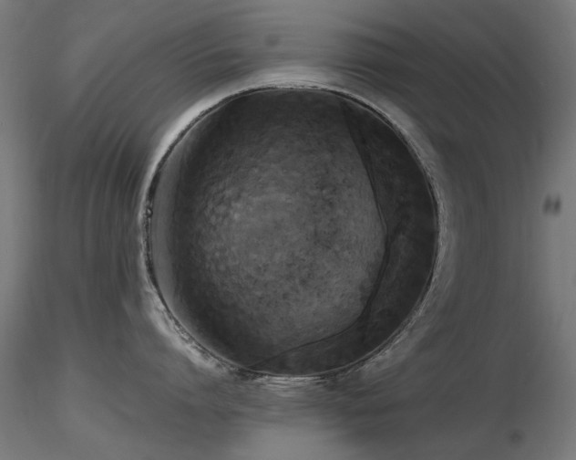 X0000116580864200912101539