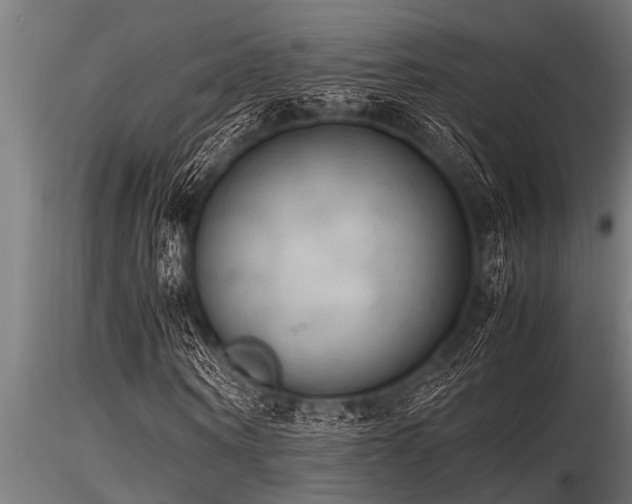 X0000116580866200912101538