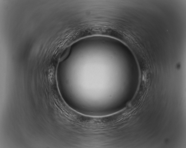 X0000116580867200912101538