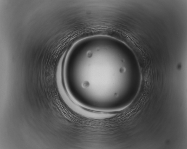 X0000116580868200912101538