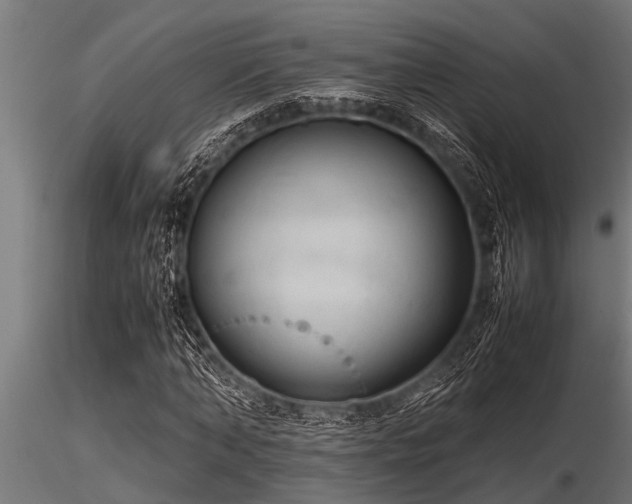 X0000116580870200912101538