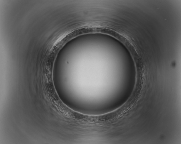 X0000116580871200912101538