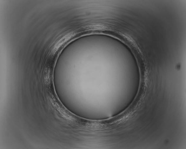 X0000116580873200912101538