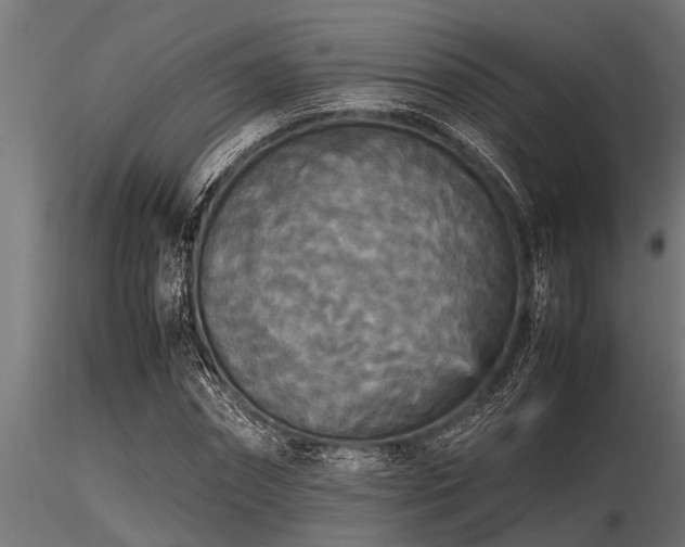 X0000116580874200912101538