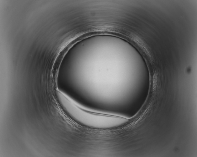 X0000116580876200912101538