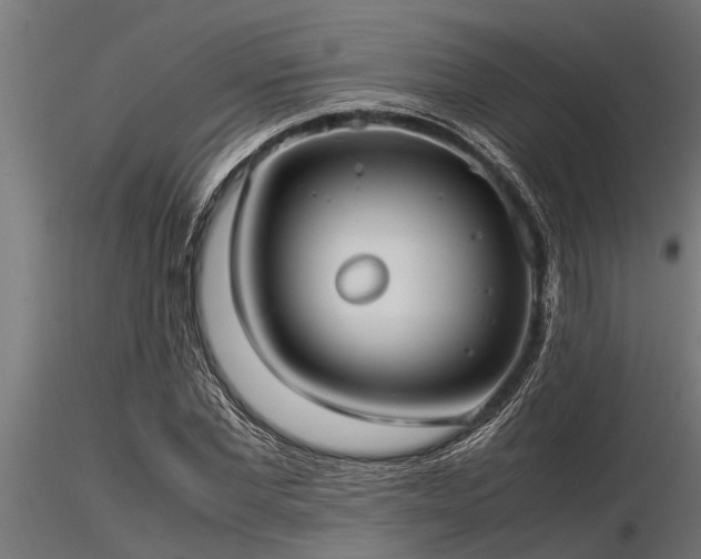 X0000116580877200912101538