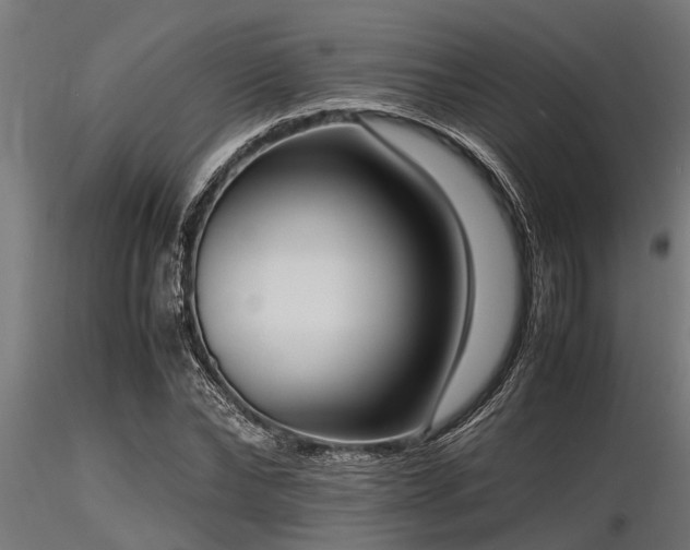 X0000116580878200912101538