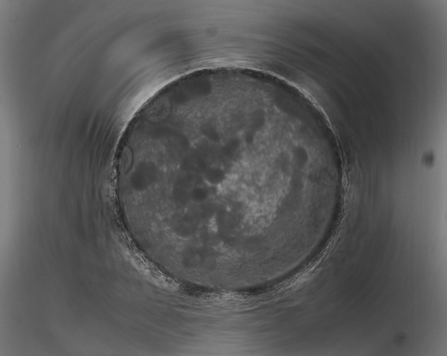 X0000116580879200912101538