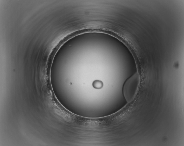 X0000116580880200912101538