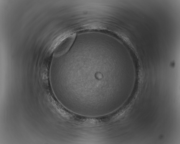 X0000116580881200912101538