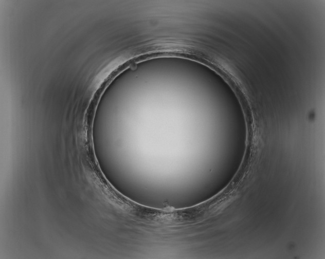 X0000116580883200912101538