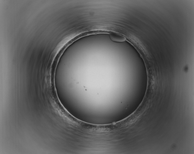 X0000116580884200912101538