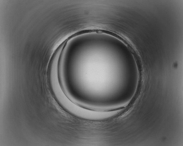 X0000116580885200912101538