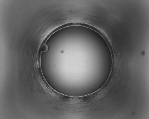 X0000116580887200912101538