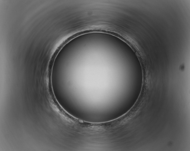 X0000116580888200912101538