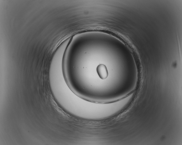 X0000116580889200912101538