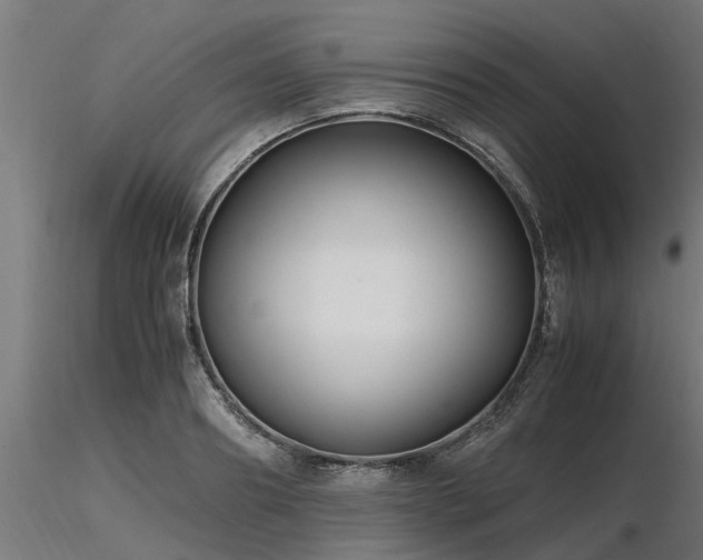 X0000116580890200912101538