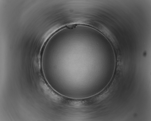 X0000116580892200912101538