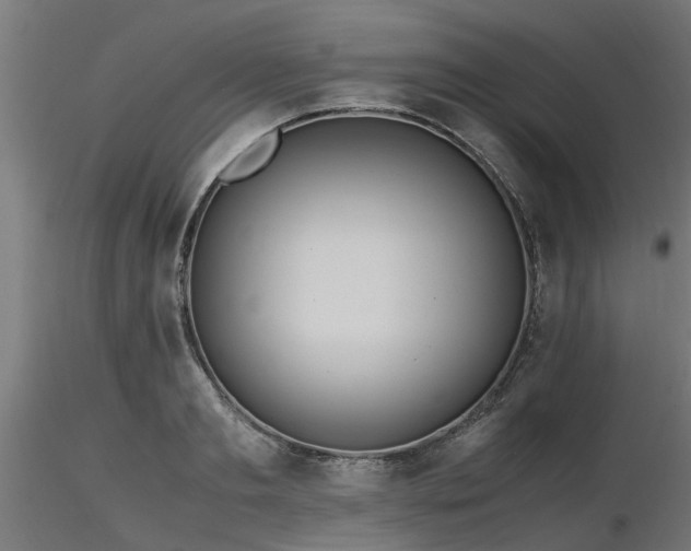 X0000116580893200912101538