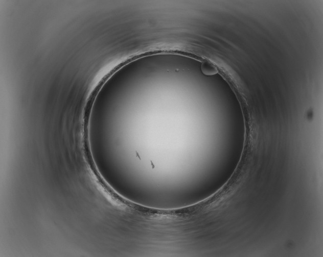 X0000116580894200912101538