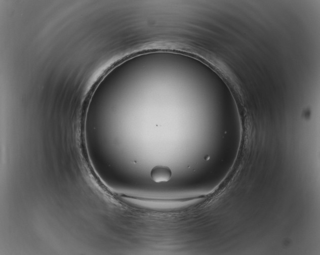 X0000116580896200912101538