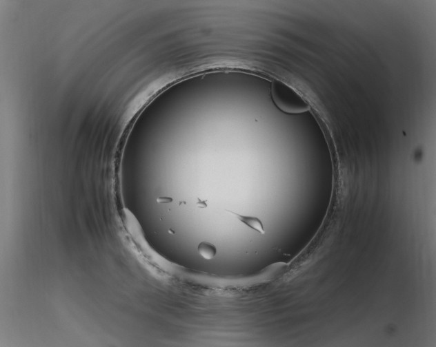 X0000116580898200912101538