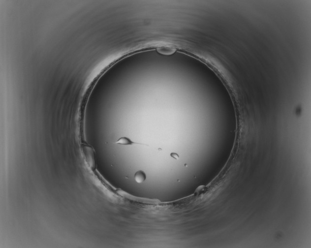 X0000116580902200912101538