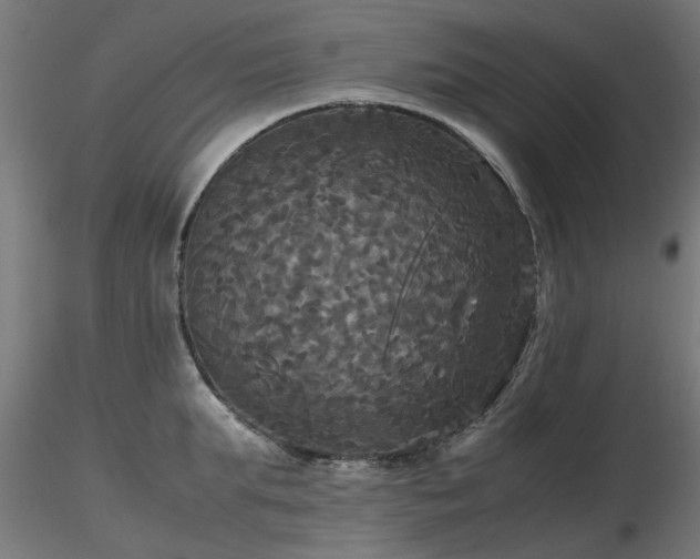 X0000116580903200912101538