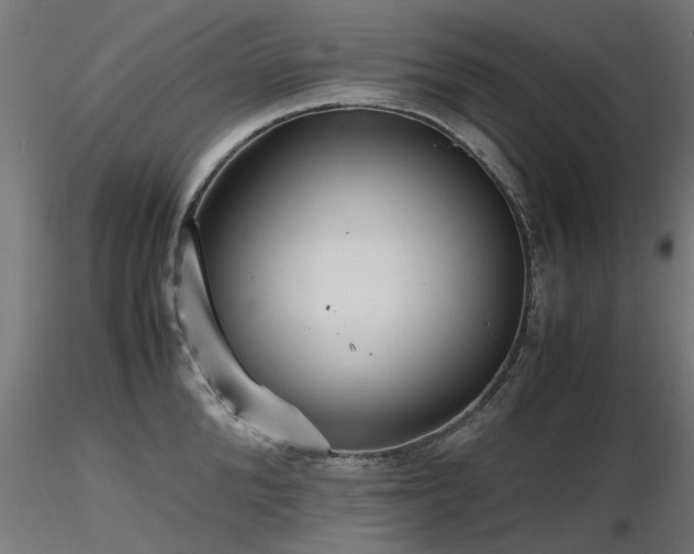 X0000116580904200912101538